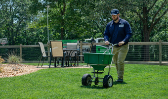 Lawn fertilization service
